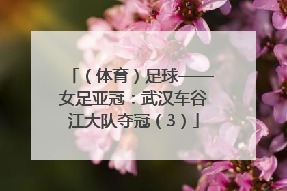 （体育）足球——女足亚冠：武汉车谷江大队夺冠（3）