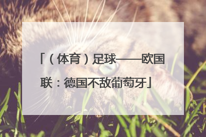 （体育）足球——欧国联：德国不敌葡萄牙