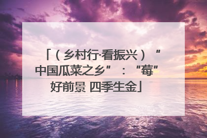 （乡村行·看振兴）“中国瓜菜之乡”：“莓”好前景 四季生金