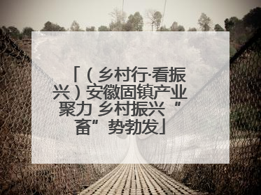（乡村行·看振兴）安徽固镇产业聚力 乡村振兴“畜”势勃发
