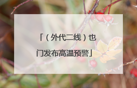 （外代二线）也门发布高温预警