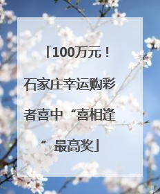 100万元！石家庄幸运购彩者喜中“喜相逢”最高奖