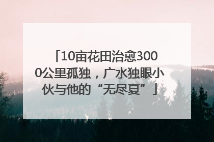 10亩花田治愈3000公里孤独，广水独眼小伙与他的“无尽夏”