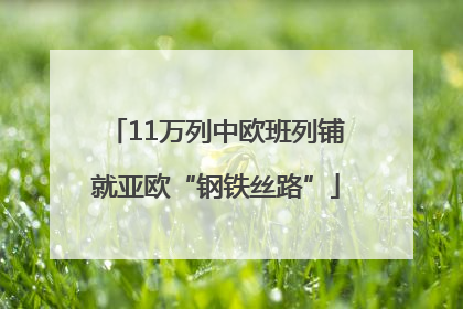 11万列中欧班列铺就亚欧“钢铁丝路”
