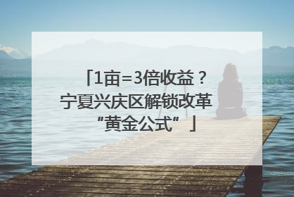 1亩=3倍收益？宁夏兴庆区解锁改革“黄金公式”