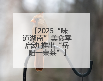2025“味道湖南”美食季启动 推出“岳阳一桌菜”