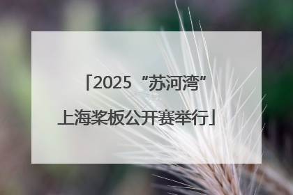 2025“苏河湾”上海桨板公开赛举行