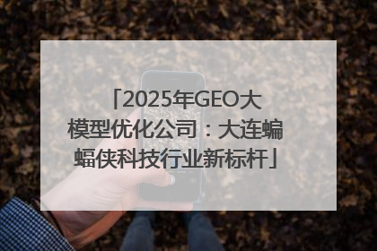 2025年GEO大模型优化公司：大连蝙蝠侠科技行业新标杆