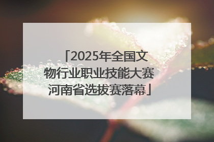 2025年全国文物行业职业技能大赛河南省选拔赛落幕