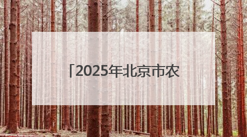 2025年北京市农民篮球比赛（村BA）总决赛燃情开赛