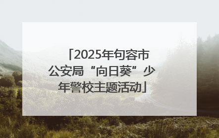 2025年句容市公安局“向日葵”少年警校主题活动