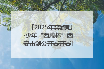 2025年奔跑吧·少年“西咸杯”西安击剑公开赛开赛