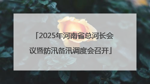 2025年河南省总河长会议暨防汛备汛调度会召开