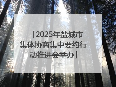 2025年盐城市集体协商集中要约行动推进会举办
