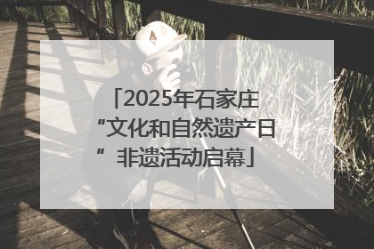 2025年石家庄“文化和自然遗产日”非遗活动启幕