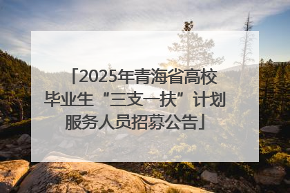 2025年青海省高校毕业生“三支一扶”计划服务人员招募公告