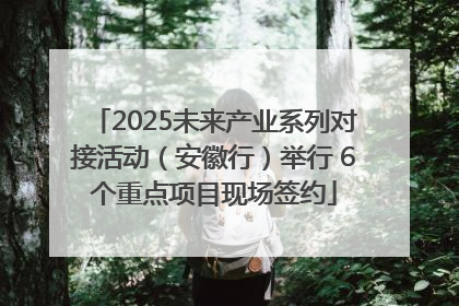 2025未来产业系列对接活动（安徽行）举行 6个重点项目现场签约