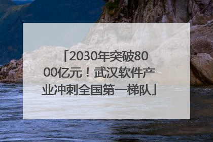 2030年突破8000亿元！武汉软件产业冲刺全国第一梯队