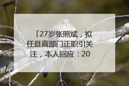 27岁张照斌，拟任县直部门正职引关注，本人回应：2019年选调生，此前负责公文相关工作