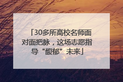 30多所高校名师面对面把脉，这场志愿指导“馥郁”未来