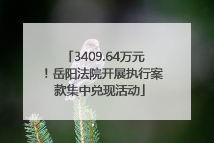 3409.64万元！岳阳法院开展执行案款集中兑现活动