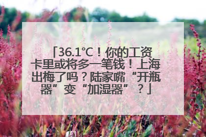 36.1℃！你的工资卡里或将多一笔钱！上海出梅了吗？陆家嘴“开瓶器”变“加湿器”？
