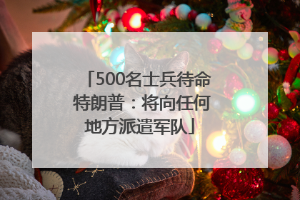 500名士兵待命 特朗普：将向任何地方派遣军队