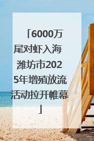 6000万尾对虾入海 潍坊市2025年增殖放流活动拉开帷幕