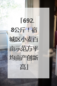 692.8公斤！宿城区小麦百亩示范方平均亩产创新高