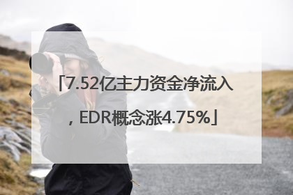 7.52亿主力资金净流入，EDR概念涨4.75%