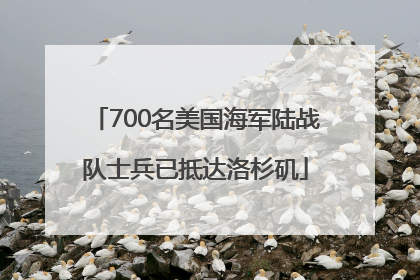700名美国海军陆战队士兵已抵达洛杉矶