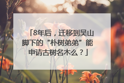 8年后，迁移到吴山脚下的“朴树弟弟”能申请古树名木么？