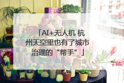 AI+无人机 杭州天空里也有了城市治理的“帮手”