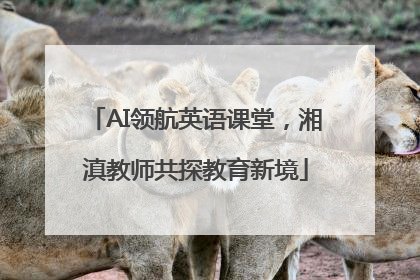 AI领航英语课堂，湘滇教师共探教育新境